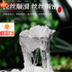 Die Auswirkungen und Funktionen von Tongrentang -Schneeschwalben mit speziellem, schneebürbeltem Schneevogel -authentischer Yunnan Wild I Rohvogel Nest Pfirsich Gummi