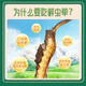 挖草人【西藏那曲】新鲜野生冬虫夏草 2025那曲野生鲜虫草头茬鲜虫草 西藏那曲鲜虫草0.6克  100根(送同款5根)