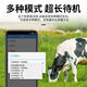 Cattle and sheep locator, special GPS for mountain grazing, Beidou satellite tracking artifact, animal anti-lost tracking instrument j a5G solar standard version, standby for about 2 months