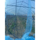 Greenhouse plastic film, non-drip film, agricultural greenhouse film, PO film, vegetable planting, anti-fog, high light transmittance, anti-aging, longevity film, blue film 10S imported longevity film, thickened, 3m wide, how many meters long, take a few pieces, send the whole picture