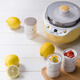 
Small Raccoon Yogurt Machine for household small automatic intelligent multi-functional machine homemade natto machine rice wine fermentation machine light yellow (microcomputer timing)