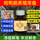 Chicken medicine poultry one drop chicken duck goose cold and diarrhea medicine poultry first aid tablets chicken medicine special effect anti-inflammatory asthma special 3 bottles excellent effect
