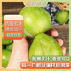 Authentic fresh green nai plums, oil nai plums, crispy sweet boneless, purified green crunchy plum seasonal fruits are now picked and crispy and sweet. With box 5 Jin [Jin equals 0.5 kg] 15g+