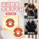 Dog sole paw cream, pet paw cream, cat paw cream, cat foot pads, paw pads, cracked red and swollen cream, pet paw cream 10g 1 box