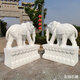 A pair of stone carved white marble elephant ornaments for household company courtyard gates, stone carved bluestone water-absorbing elephants, 12 meters high, 95 wide, 45 centimeters wide, a pair