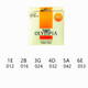 Olympus Olympia Box Electric Guitar String Strings Folk Strings Caderas de guitarra acústica Cadenas de guitarra cuerdas HQA-1047 (010-047)