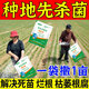 Zhonggu Nongkang (ZGNK) soil fungicide special for agricultural soil-borne diseases disinfection and sterilization soil anti-heavy crop dead seedling rot and root rot fungicide soil pathogen cleaner 1 bag small quantity is not enough