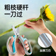 Wang Mazi floral scissors, pruning shears, gardening scissors, fruit tree potted flowers, flower branch scissors, professional floral scissors