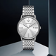 EMPORIO ARMANI Armani Watch Men's Simple Business Series Silver Sunburst Quartz Watch Birthday Gift AR11599