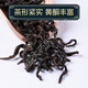 Xiuyue kehrt Qingqian Liu [2025 neu