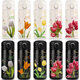 Chengliu Tulip Isolation Cup littéraire créativité simple Cup de eau Simple Sentimental Girls Bounce 304 Bounce en acier inoxydable tasse 350 ml WT3291 Tulip