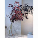 Apple eucalyptus dried flowers indoor living room office immortal flower base straight hair niche immortal apple eucalyptus leaves 100-130cm1 tied purple red