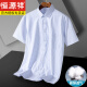 Hengyuanxiang Herren komfortable kurzärmelige Baumwollhemd Sommer Dünne Stil Atmungsfreier cooler Revers Professioneller Anzug Streifen Hemd DX6636 42