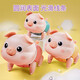 The same style as Douyin on June 1st Douyin, electric pig shines 61 Music Children's Day toy night market [USB version] 10 songs of electric leash puppy