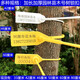 One-time customized garden seedling seal number tree extended plastic seal label sign plate 42CM50CM60CM plastic 33cm red 100 pieces