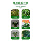 Zhixin plant nutrient solution, Zhixin official store, specializes in treating yellow leaves and rotten roots, promoting flowers, and promoting growth, lush branches and leaves 5. Zhixin nutrient solution 3 bottles