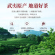 Xiaowen’s Tea Oolong Tea Jindian Wuyi Rock Tea Cinnamon Level 50g Medium-fire Canned Loose Tea is convenient for self-drinking