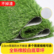Fake lawn dog toilet lawn mat pet peeing fake turf washable artificial turf mat pet peeing pad 100cm*100cm (white background 2cm grass) 1 piece