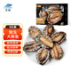 Linglue Fujian fresh frozen large abalone, net weight 400g, 8 pieces box, abalone hot pot barbecue, shellfish and seafood, fresh