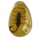 DL 1998 Fat Donglai same model luminous amber real insect specimens children's excavation archaeological blind box pendant accessories resin accessories luminous scorpion 50mm 20-