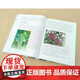 正版包邮 芳香果品 1300个品种水果和干果概况 形态特征及生长习性 解析香气图谱与营养功效 芳香产业从业人员 园艺研究及从业人员F