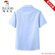 
Woodpecker Ice Silk Cotton Short-sleeved Shirt Men's Half-sleeved Solid Color Shirt Men's Breathable Summer Business Comfortable Formal Clothes No Crystals Light Blue Pattern S 165/84A/3895-105Jin[Jin equals 0.5 kg]