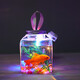 Canned fish stall artifact 500ml Internet celebrity square luminous small goldfish tank night light night market stall betta fish tank Square canned fish 3 sets (5-piece set, fish not included)