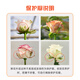 Jingdong Flowers Aisha rose 20 branches slightly spread flower type soilless cultivation home flower arrangement bouquet Shandong base direct delivery