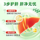 Les comprimés Ganoderma Lucidum Root Ganoderma Lucidum Tartle pour boissons les comprimés de Ganoderma lucidum de graines de chardon de chardon de chardon