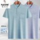 
Woodpecker (TUCANO) Daddy Lapel Ice Silk Short Sleeve T-shirt Middle-aged Men's Casual T-shirt Middle-aged and Elderly Thin POLO Shirt Summer Clothes T Ice Silk-9855 Gray Real Pocket L 50/170