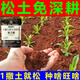Loosening essence soil conditioner eliminates soil compaction, requires no deep plowing, loosens ventilation, promotes rooting and helps seedlings, universal type 5 packs, what you plant will flourish