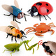 Original direct supply, novel and unique remote control electric insect toys, electric snail and mouse prank, 9922 ladybug, 130G, weight 0.28kg