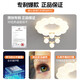 Hauptschlafzimmer -Lampen -Creme -Stil Einfaches modernes kreatives Licht Luxus warm warm voller Spektrum Augenschutz Kinderendecke Licht 2YH826 Acryl + Milch Kaffee + Stütze Xiaoai Klassenkamerad