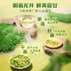 Brand xihu 2025 New Tea Green Tea Longjing Tea, Mingqian Special Grade 200g High-Gift Boad Box Gift Gift Spring Tea