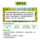 Plant growth regulator 0.4% gibberellic acid 24-epibrassinolide corn wheat rice growth regulator 100ml*5 bottles