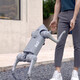 Uniree Voice Ai Big Model Robot chien en relief Intelligent Bionic Companion à quatre pattes GO2 GO2-Pro longue durée de vie de batterie + télécommande