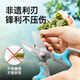 Wang Mazi floral scissors, pruning shears, gardening scissors, fruit tree potted flowers, flower branch scissors, professional floral scissors