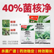 40% sclerotium purified sclerotinia, red spot, gray mold, sheath blight, rape, pepper, cucumber pesticide and fungicide 20g*30 bags