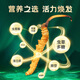 Zangyou auténtica caja de regalo Cordyceps con tónico para la primera etapa del regalo de Cordyceps para que los ancianos y los padres lideren el regalo nutricional [uso económico] 5 palos/G-50 gramos de 250 palos [descuento especial]