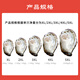 Fresh Jingcai Fresh Oysters 5XL Net weight 5Jin Jin is equal to 0.5kg 9-12 oysters, fresh to your home, fresh seafood, straight from the source