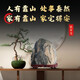 Ehrgötiger Stein authentischer Taishan Stone zum natürlichen Petrochemikalie, um die Ecken des Wohnzimmers zu bilden und den Mountain Stone -Büro Fengshui -Stein 13587 so stabil wie Mount Tai zu unterstützen
