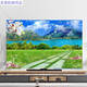 Yonghuan new TV dust cover TV cover sunscreen fabric 65-inch protective cover hanging curved screen B1391 Music Dolphin 32-inch (80*50cm)