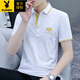 花花公子（PLAYBOY）2025新款夏季男士短袖t恤翻领珠地棉半袖Polo.衫休闲简约男上衣服 SKY-5012-白色 XL 120-135斤