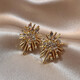 Irregular Fireworks Earrings 2025 New Popular Style Light Luxury High-Quality Autumn and Winter Temperament Earrings Niche Unique Earrings Gold Irregular Fireworks Earrings One Pair