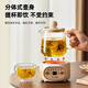 Small pumpkin health pot multi-functional fully automatic tea maker mini household kettle electric kettle thermostatic kettle teapot household appliances tea kettle water boiler small one-person kettle glass kettle gift box version with filter + coaster + spoon 0.5L