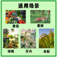 【蔬菜专用型复合肥】种菜蔬菜养分全面叶片鲜绿生根壮苗黄瓜辣椒 【蔬菜专用肥】10斤