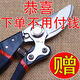 German craftsmanship imported steel branch shears, tree scissors, fruit tree shears, pruning scissors for household flowers, trees and grapes to prune branches. 100% sharp + strong hardness. Not the main picture. On sale. German imported steel blades. Clearance.
