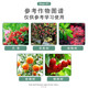 2% benzylaminopurine rose fruit tree flower flowering and germination-preserving flower and fruit-preserving cytokinin 1000ml