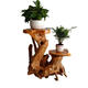 Wurzel geschnitzte Ständer Baumwurzel natürliche Ornament Massivholz Block Wohnzimmer Mehrschicht Bonsai Fischtank Basis Grün Ivy Balkon Sonderangebot H6636 Ein Bild One Sache