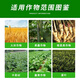 Sodium nitrophenolate can root and strengthen seedlings, promote flower bud differentiation, preserve flowers and fruits, increase fruit setting rate, and eliminate pesticide damage regulator 500g (5 bottles)
